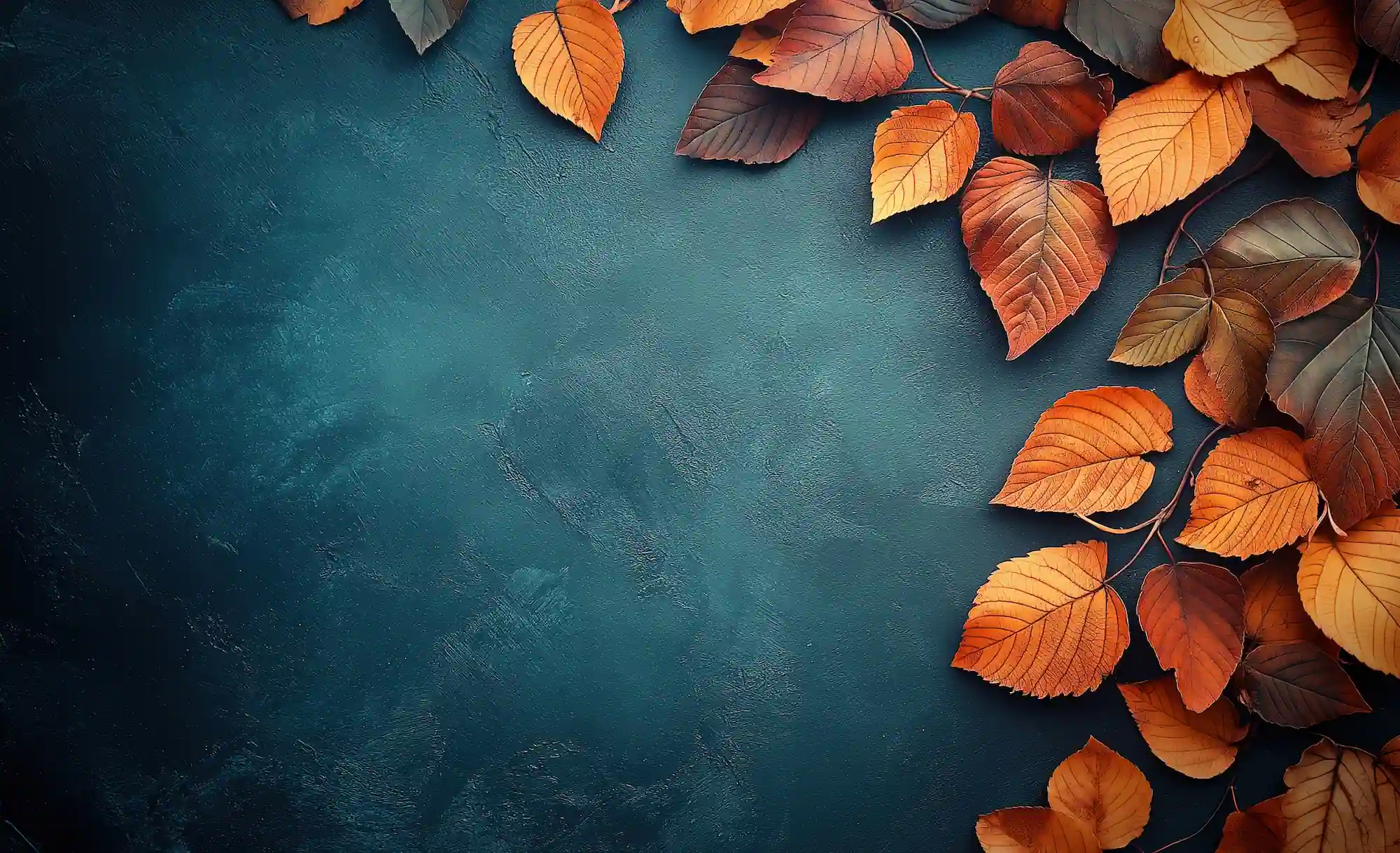 构建现代化的React应用